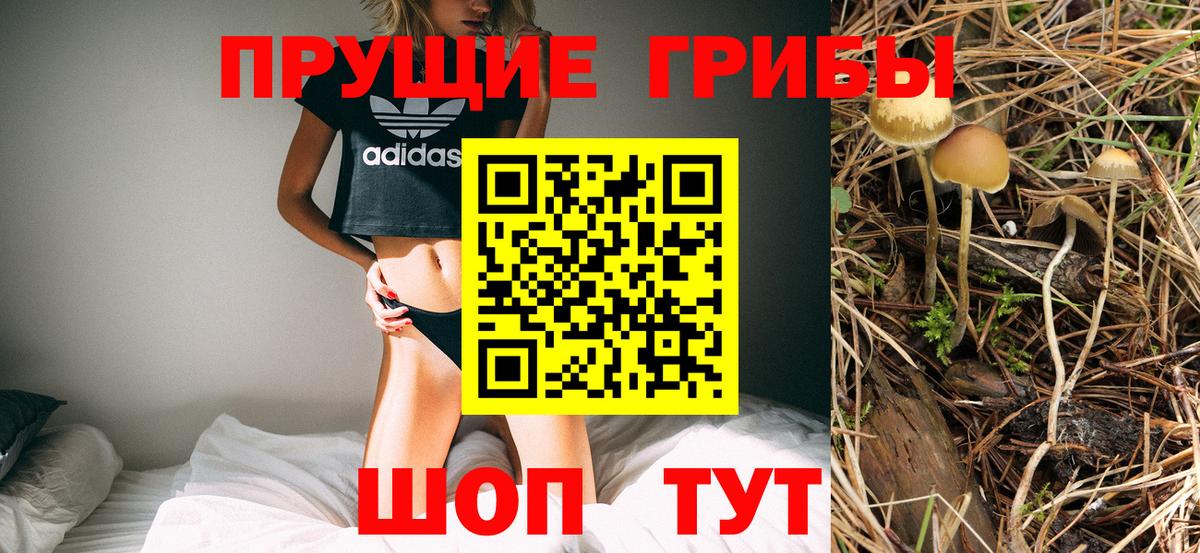 Псилоцибиновые грибы прущие грибы Златоуст