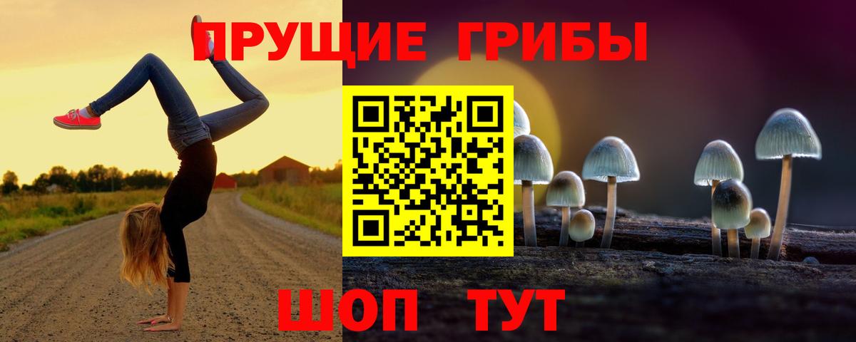 Псилоцибиновые грибы ЛСД  купить наркотик  Златоуст  Вход с VPN 